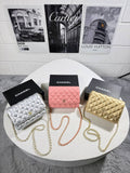 Chanel Classic Wallet On Chain Womens Bag in Multiple Colors UK Reps AAA Quality