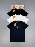 Loro Piana Logo Printed T-shirts Round Neck Mens in Multiple Colors UK Reps AAA Quality