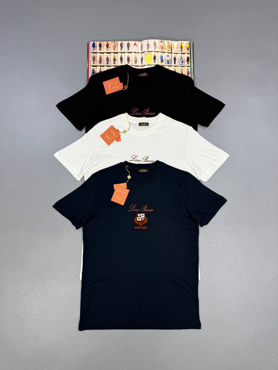 Loro Piana Logo Printed T-shirts Round Neck Mens in Multiple Colors UK Reps AAA Quality
