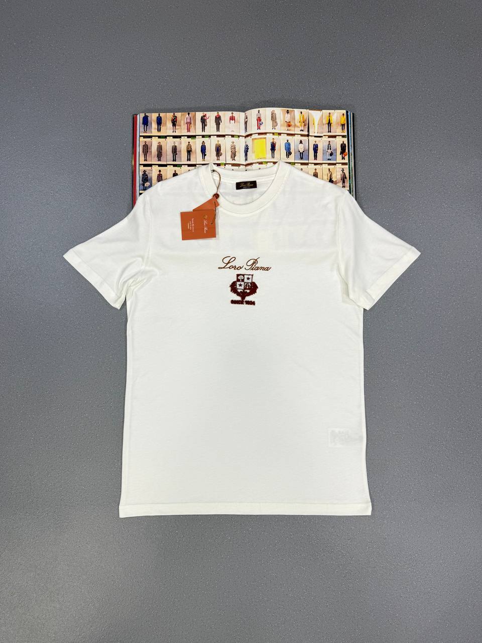 Loro Piana Logo Printed T-shirts Round Neck Mens in Multiple Colors UK Reps AAA Quality