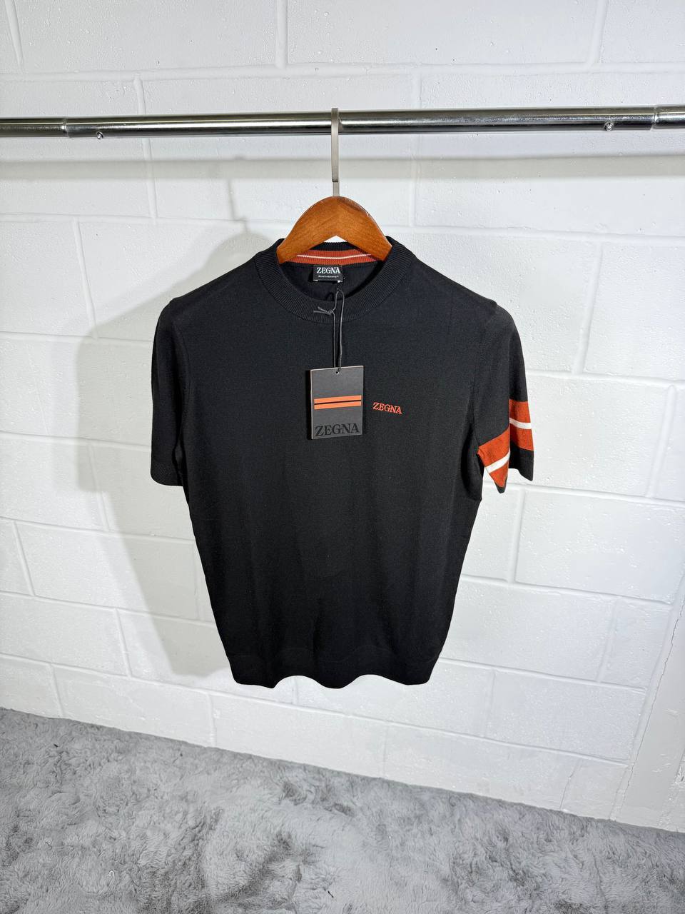 Zegna Logo Embroidered Round Neck Mens T-Shirts Fancy Fashion Short Sleeves in Multiple Colors UK Reps AAA Quality